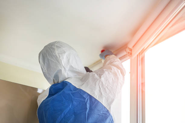  Post, TX Mold Removal Services Pros