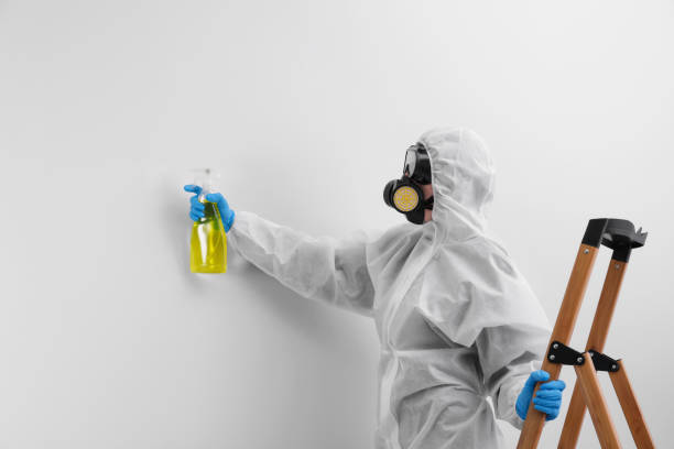 Best Residential Mold Inspection & Testing  in Post, TX